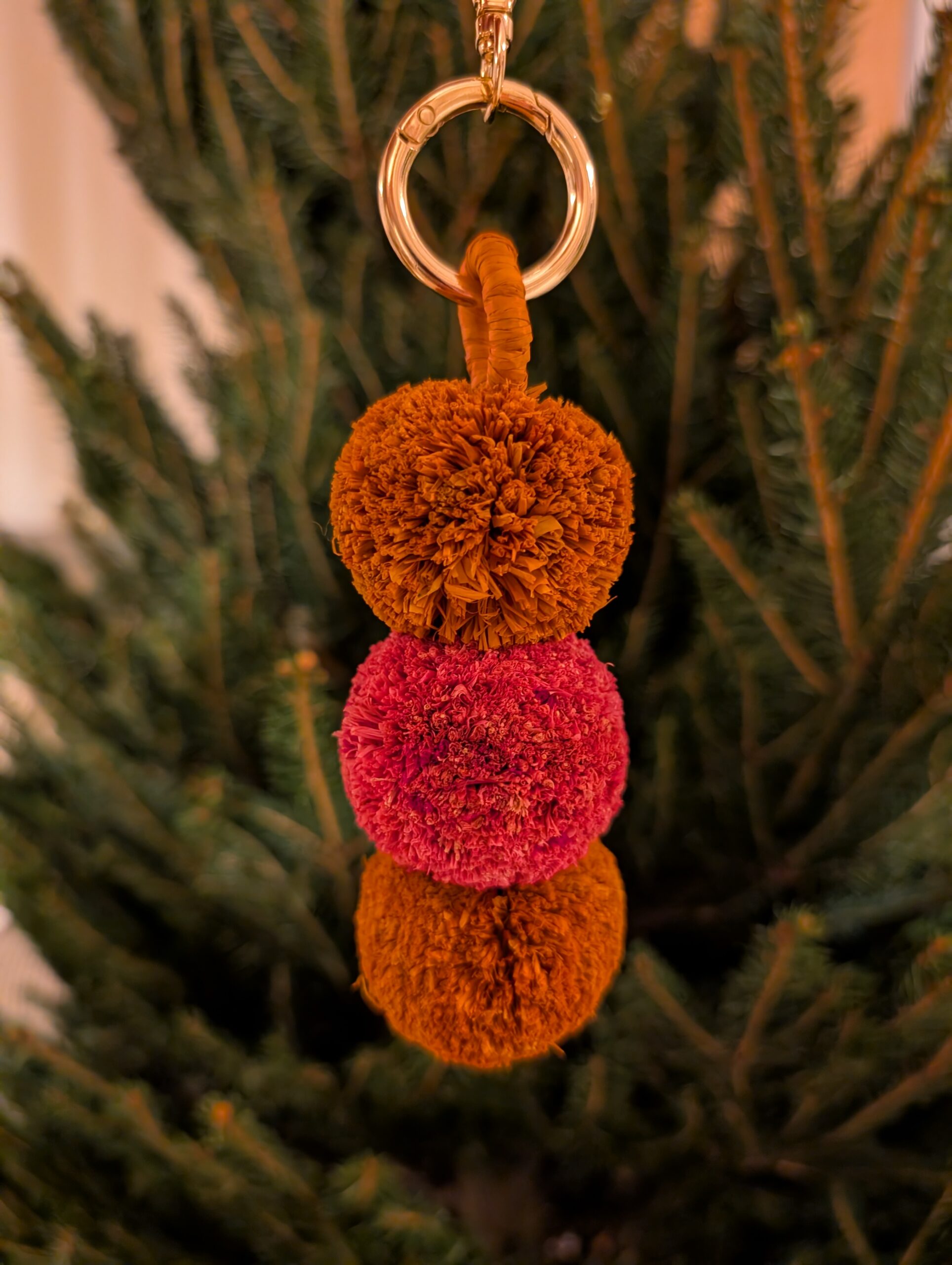 PXL_20251214_220219474